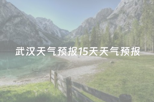 武汉天气预报15天天气预报（武汉天气预报15天天气预报查询2345）