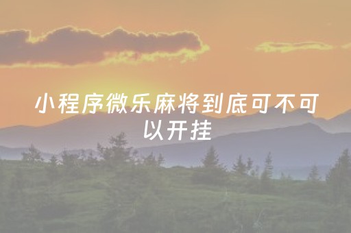 小程序微乐麻将到底可不可以开挂（小程序微乐麻将到底有挂吗）