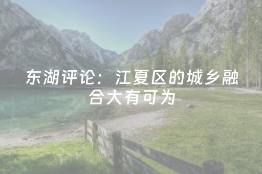 东湖评论：江夏区的城乡融合大有可为