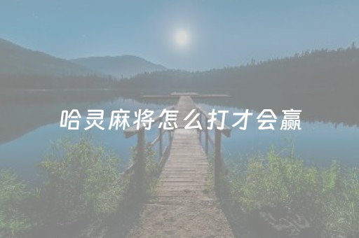 哈灵麻将怎么打才会赢（哈灵麻将怎么打可以赢）