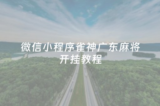 微信小程序雀神广东麻将开挂教程（微信小游戏雀神广东麻将怎么开挂）