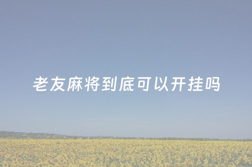 老友麻将到底可以开挂吗（老友麻将到底可以开挂吗）