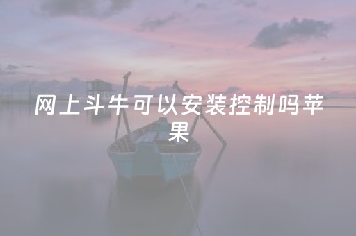 网上斗牛可以安装控制吗苹果（斗牛可以开挂吗）