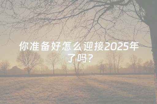 你准备好怎么迎接2025年了吗？