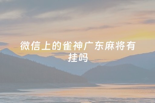 微信上的雀神广东麻将有挂吗（微信里面的雀神广东麻将有挂吗）