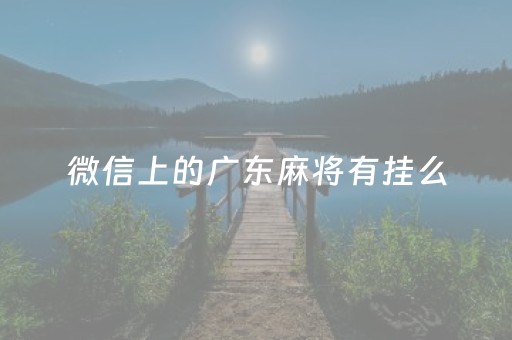 微信上的广东麻将有挂么（微信上的广东麻将有挂么吗）