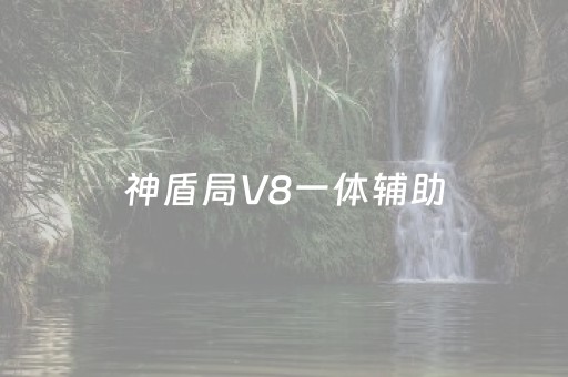 神盾局V8一体辅助（神盾局v8一体辅助怎么开）