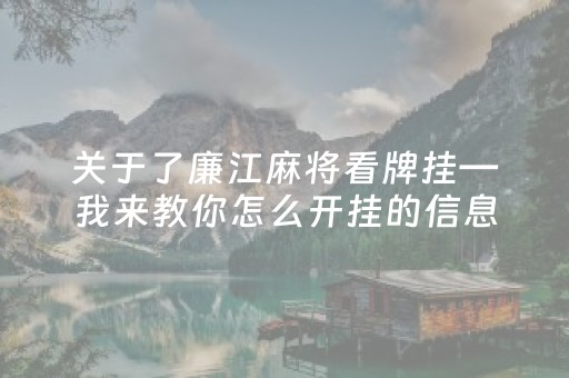 关于了廉江麻将看牌挂—我来教你怎么开挂的信息