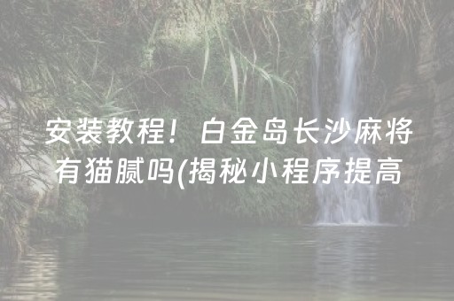 安装教程！白金岛长沙麻将有猫腻吗(揭秘小程序提高胜率)