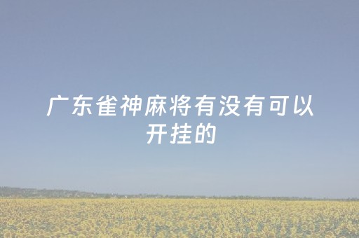 广东雀神麻将有没有可以开挂的（广东雀神麻将有没有可以开挂的啊）