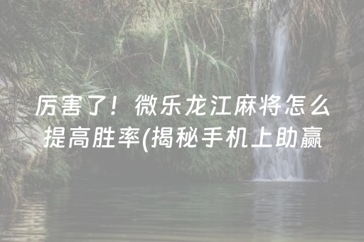 厉害了！微乐龙江麻将怎么提高胜率(揭秘手机上助赢神器购买)