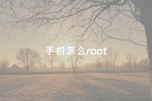 手机怎么root（华为手机怎么root）