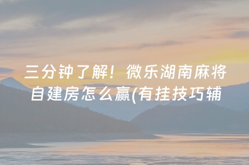 三分钟了解！微乐湖南麻将自建房怎么赢(有挂技巧辅助器)