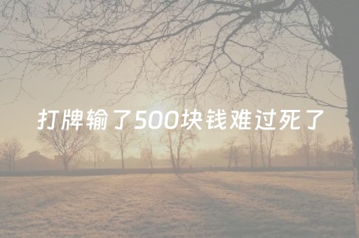 打牌输了500块钱难过死了（打牌输了5千）