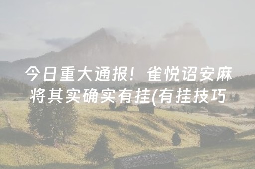 今日重大通报！雀悦诏安麻将其实确实有挂(有挂技巧辅助器)