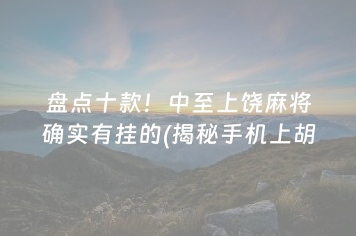 盘点十款！中至上饶麻将确实有挂的(揭秘手机上胡牌神器)