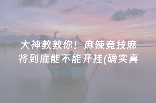 大神教教你！麻辣竞技麻将到底能不能开挂(确实真的有挂)