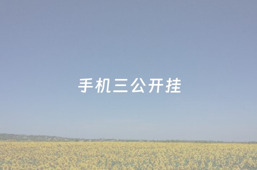 手机三公开挂（三公开挂辅助）