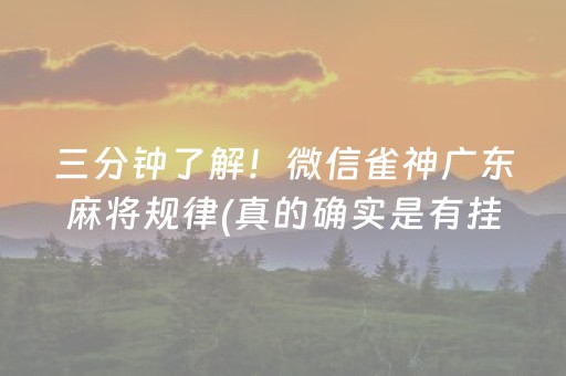 玩家必看科普！微信小程序麻将怎么设置才能赢(揭秘微信里助赢神器)