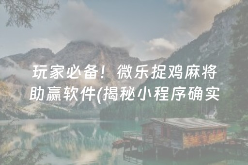 玩家必备！微乐捉鸡麻将助赢软件(揭秘小程序确实有猫腻)