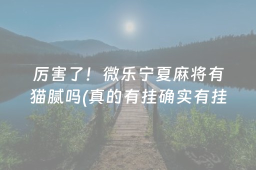 必备攻略！微信小程序微乐河南麻将专用神器(揭秘微信里如何让牌变好)