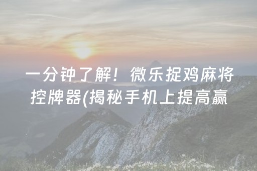 大神教教你！白金岛放炮罚其实是有挂的(真的有挂确实有挂)