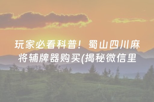 必备攻略！微乐广西麻将辅牌器(揭秘手机上赢牌技巧)