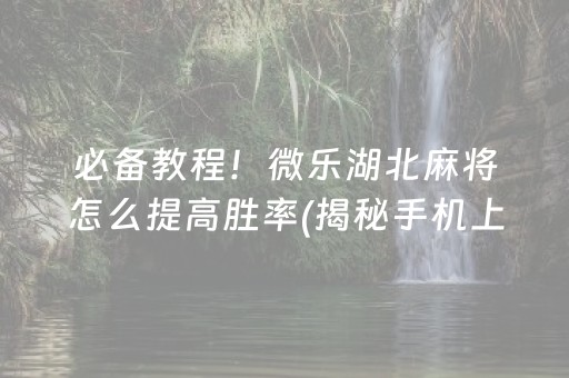 玩家必备！小程序打麻将是不是有挂(确实真有挂)