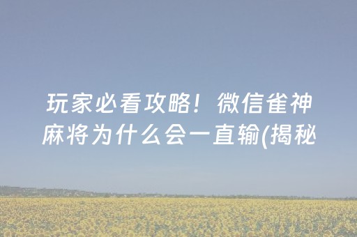 给玩家盘点十款！微乐宁夏麻将取胜技巧(确实真有挂)