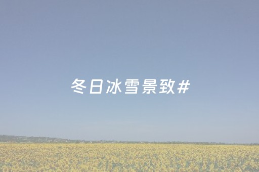 分享玩家攻略！微乐四川麻将跑得快提高赢的概率(揭秘手机上输赢规律)