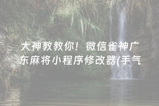 大神教教你！微信雀神广东麻将小程序修改器(手气一直很差)