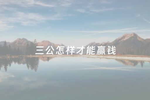 三公怎样才能赢钱（三公应该怎么才能赢）