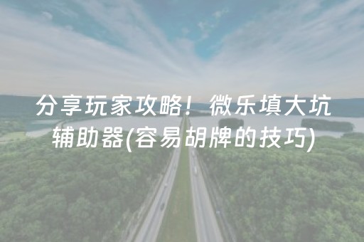 分享玩家攻略！微乐填大坑辅助器(容易胡牌的技巧)