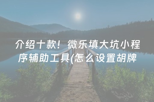 介绍十款！微乐填大坑小程序辅助工具(怎么设置胡牌)