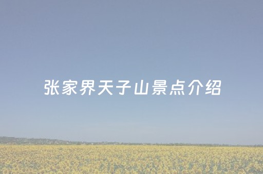 张家界天子山景点介绍（张家界天子山和天门山是一个地方吗）