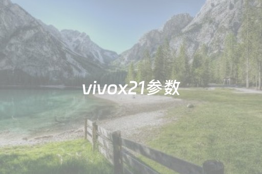 vivox21参数（vivox21参数配置详情 参数设置）