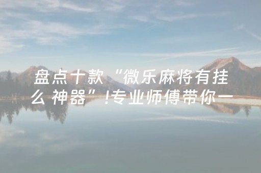 盘点十款“微乐麻将有挂么 神器”!专业师傅带你一起了解（详细教程）-知乎