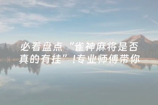 必看盘点“雀神麻将是否真的有挂”!专业师傅带你一起了解（详细教程）-知乎