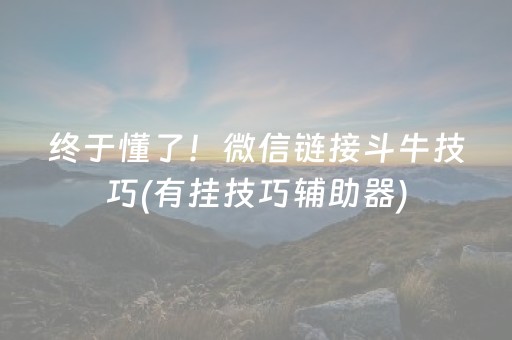 终于懂了！微信链接斗牛技巧(有挂技巧辅助器)