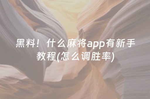 黑料！什么麻将app有新手教程(怎么调胜率)