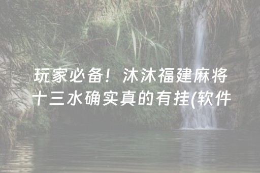 玩家必备！沐沐福建麻将十三水确实真的有挂(软件只赢不输)