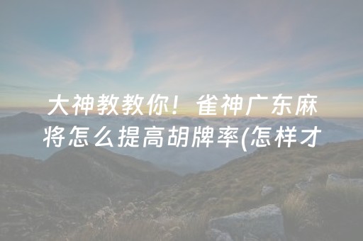 大神教教你！雀神广东麻将怎么提高胡牌率(怎样才能赢)