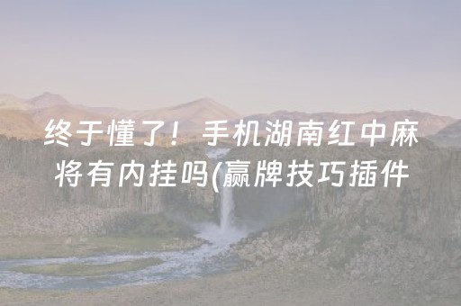 终于懂了！手机湖南红中麻将有内挂吗(赢牌技巧插件安装)