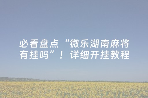 必看盘点“微乐湖南麻将有挂吗”！详细开挂教程（确实真的有挂)-知乎