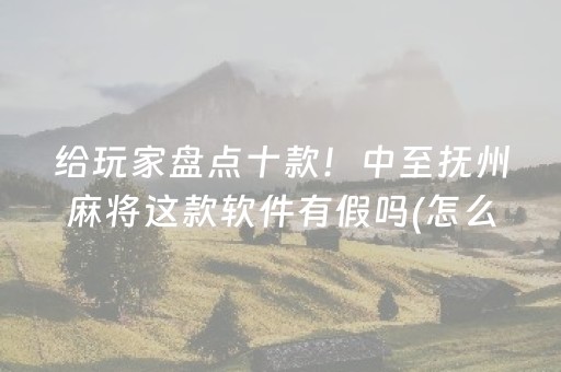 给玩家盘点十款！中至抚州麻将这款软件有假吗(怎么打系统才能给好牌)