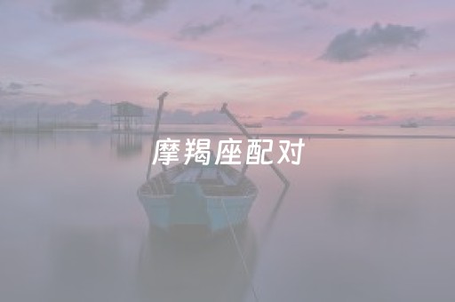 摩羯座配对（摩羯座配对指数）