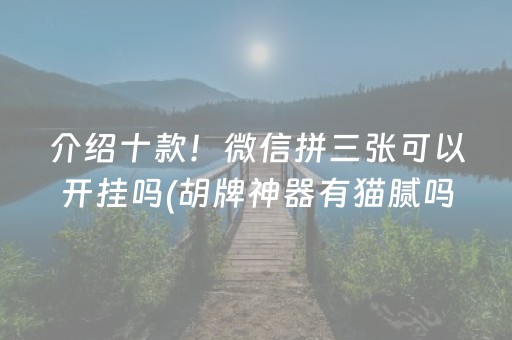 介绍十款！微信拼三张可以开挂吗(胡牌神器有猫腻吗)