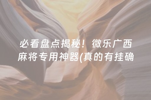 必看盘点揭秘！微乐广西麻将专用神器(真的有挂确实有挂)