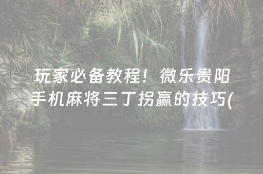 玩家必备教程！微乐贵阳手机麻将三丁拐赢的技巧(助赢神器购买)