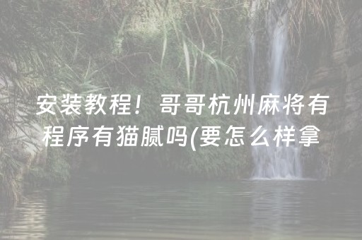 安装教程！哥哥杭州麻将有程序有猫腻吗(要怎么样拿到好牌)